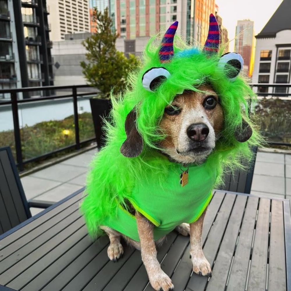 Green Monster Dog Costume, Size L